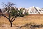 Cappadocia Landscape